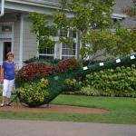 OTRA2014_0962 (August 31, 2014)